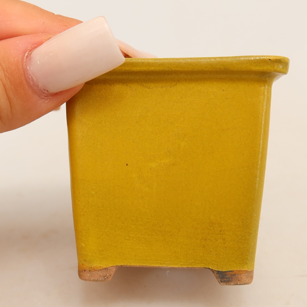 Ceramiczna miseczka do bonsai 6 x 6 x 5,5 cm, kolor żółty