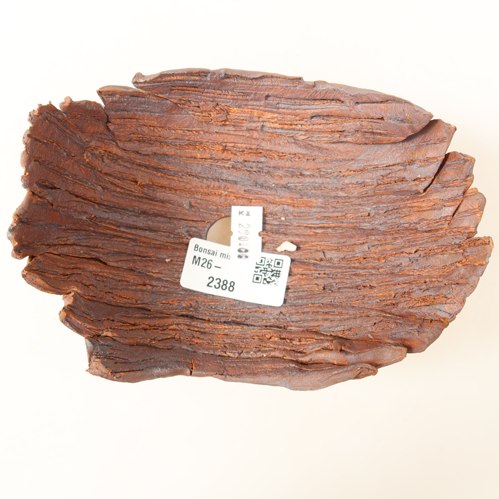 Ceramiczna skorupa  15 x 11 x 7,5 cm, kolor brązowy