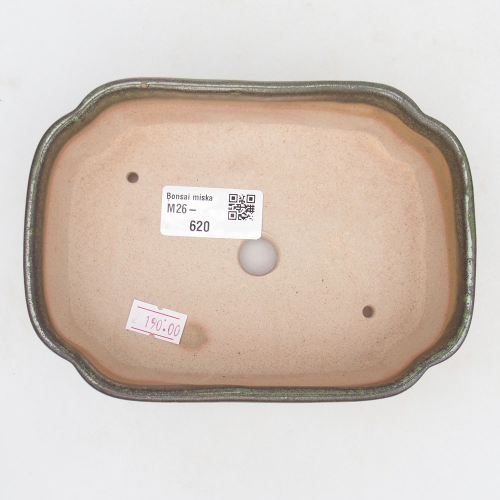 Ceramiczna miska do bonsai 16 x 11,5 x 4,5 cm, zielona