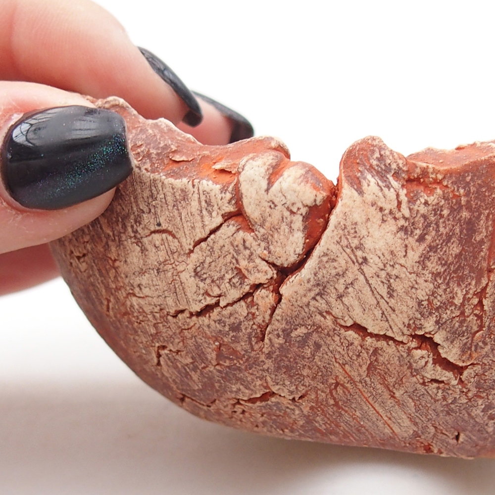 Ceramiczna skorupa 9,5 x 9 x 4 cm, kolor pomarańczowy