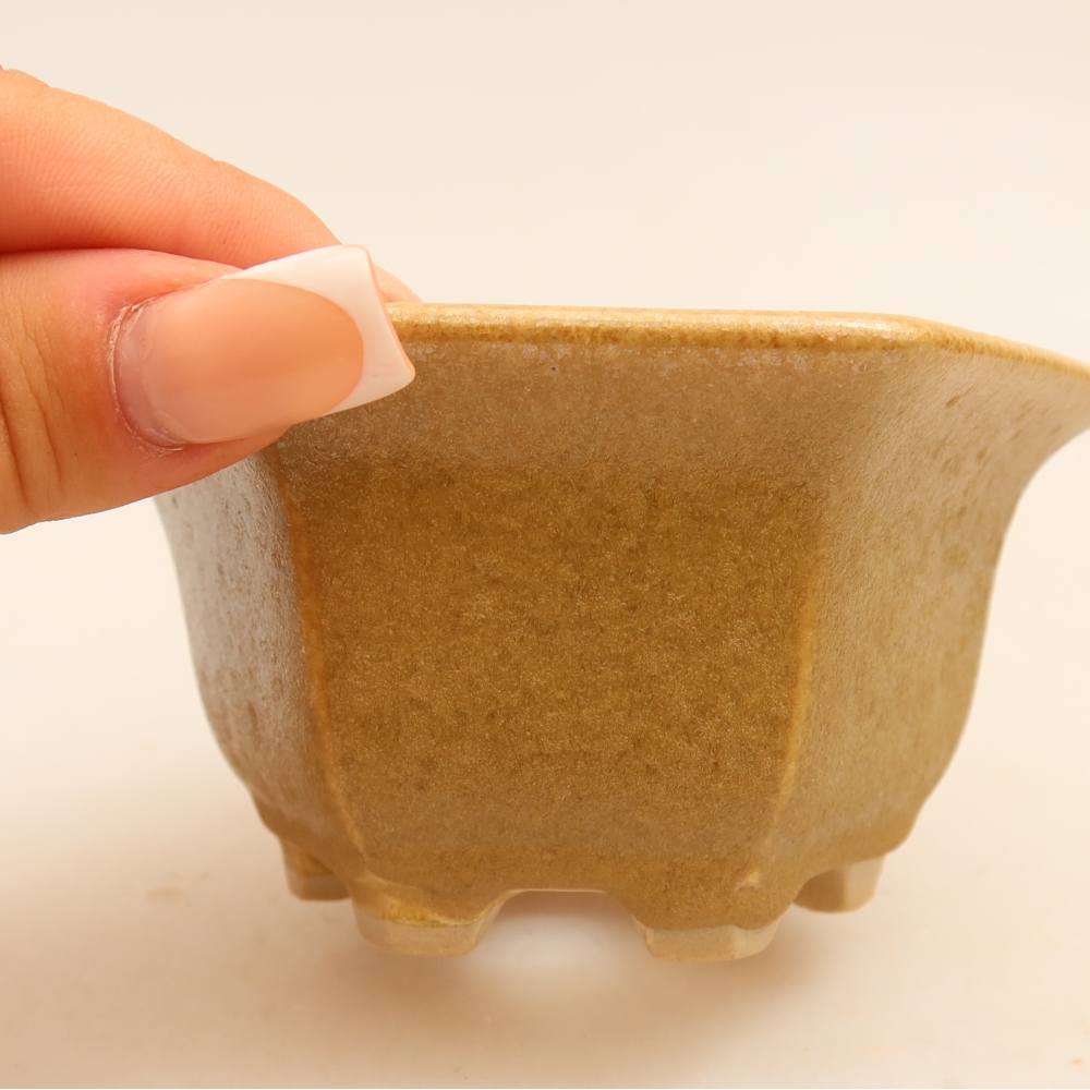 Ceramiczna miska do bonsai 10,5 x 9,5 x 5,5 cm, kolor beżowy