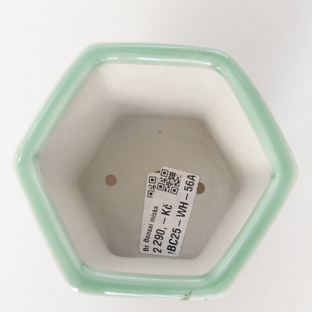 Ceramiczna miska do bonsai 10,5 x 9,5 x 8,5 cm, zielona