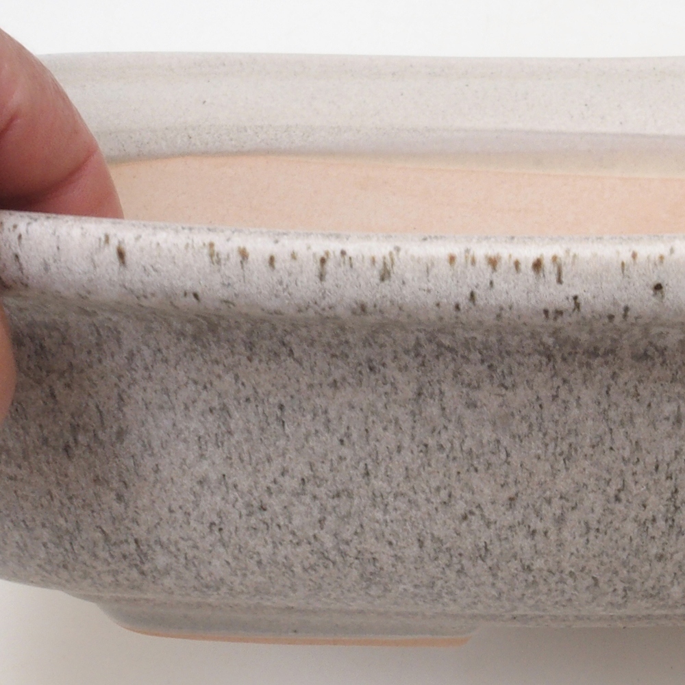 Bonsai bowl H10 - 37 x 28 x 9 cm. - beżowy