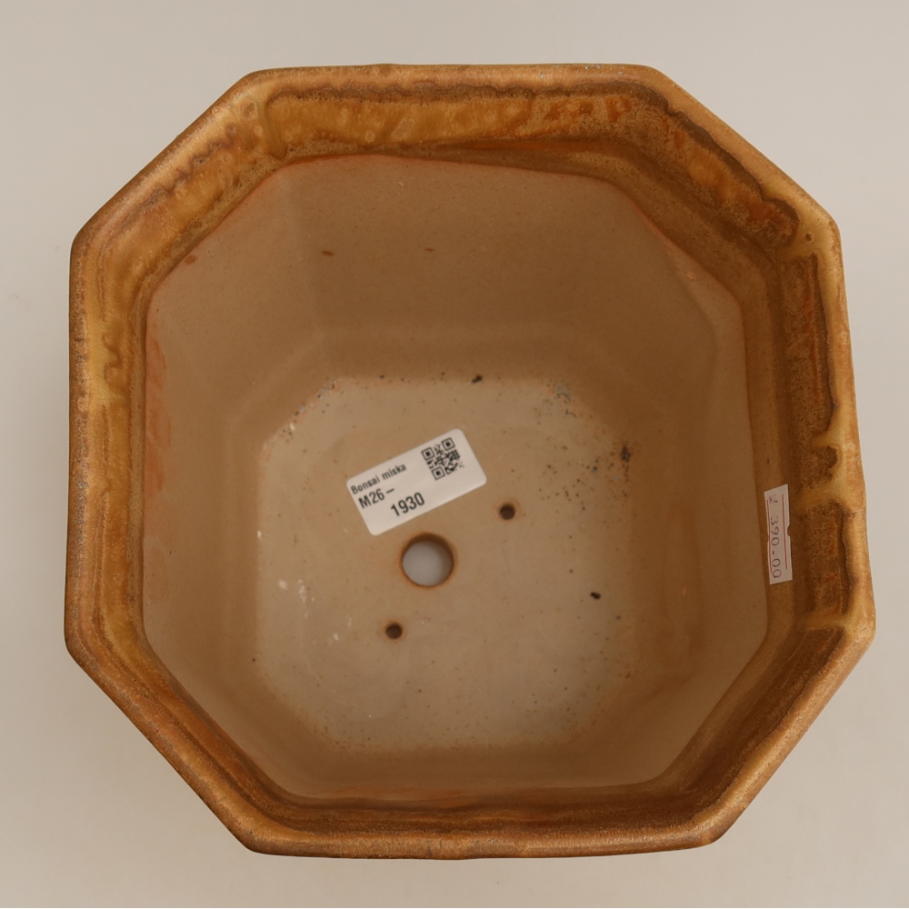 Ceramiczna miska do bonsai 17,5 x 17,5 x 15,5 cm, kolor beżowy