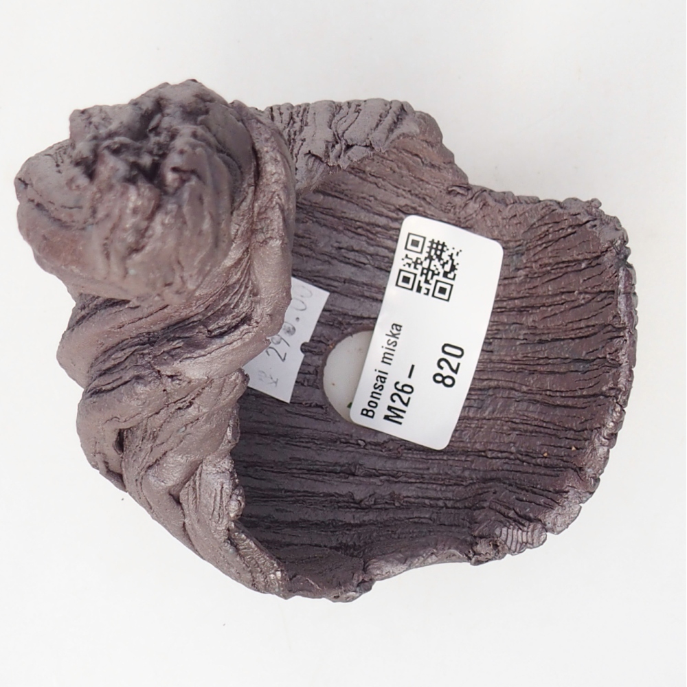 Ceramiczna muszla 8,5 x 8 x 14,5 cm, kolor metaliczny