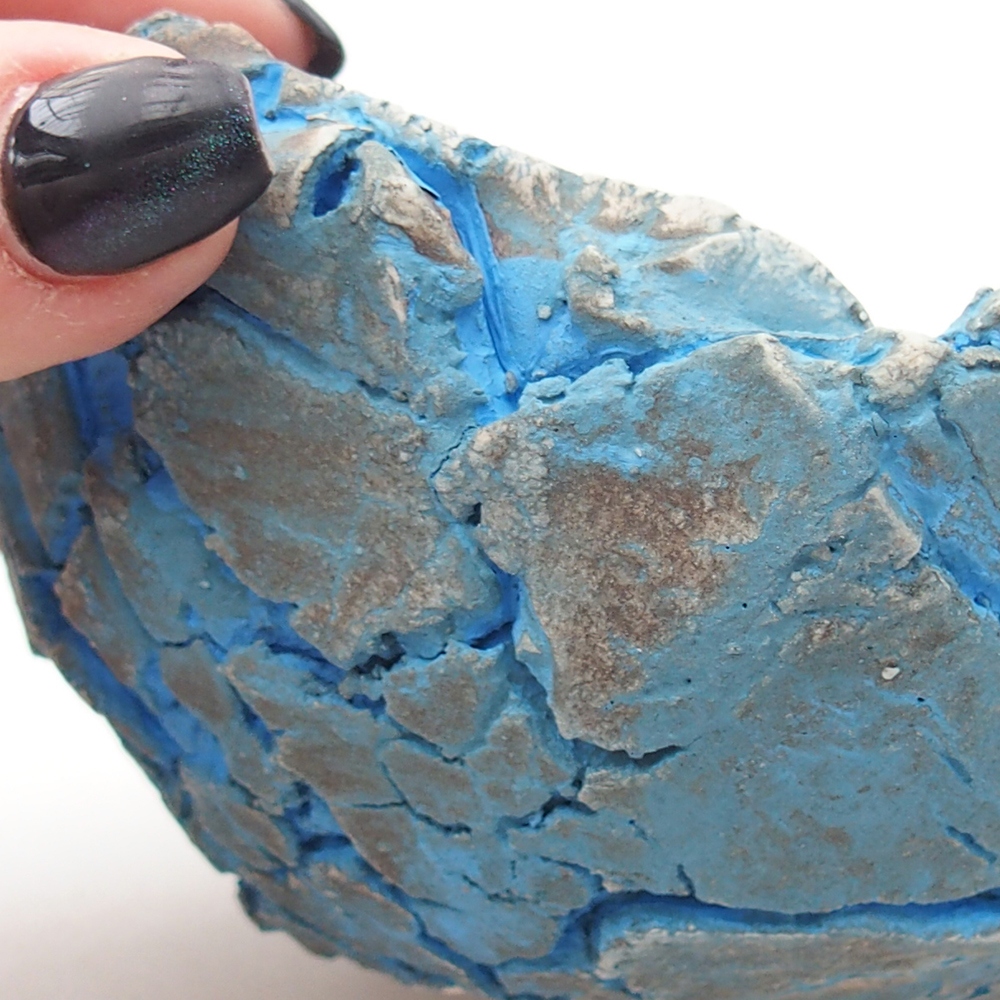 Ceramiczna muszla 11 x 11 x 6,5 cm, kolor niebieski