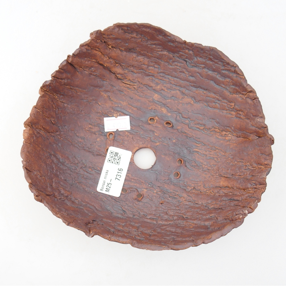 Ceramiczna muszla 18,5 x 17,5 x 6 cm, kolor brązowy