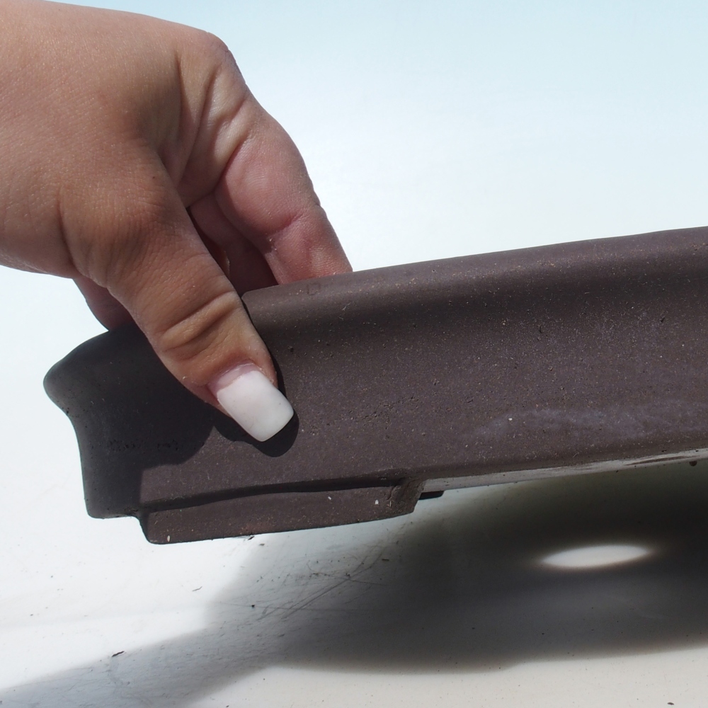 Misa bonsai 38 x 21 x 5 cm brzoza brązowa