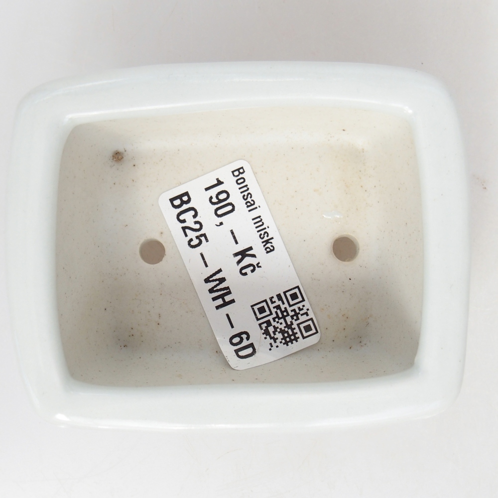 Mini miska do bonsai 8 x 6,5 x 3,5 cm, biała