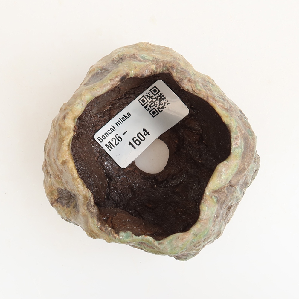 Ceramiczna skorupka  6 x 5 x 6,5 cm, kolor zielony