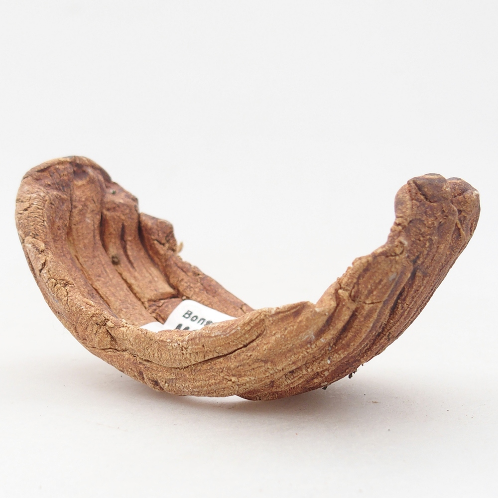 Muszla ceramiczna 9 x 4,5 x 4,5 cm, kolor brązowy