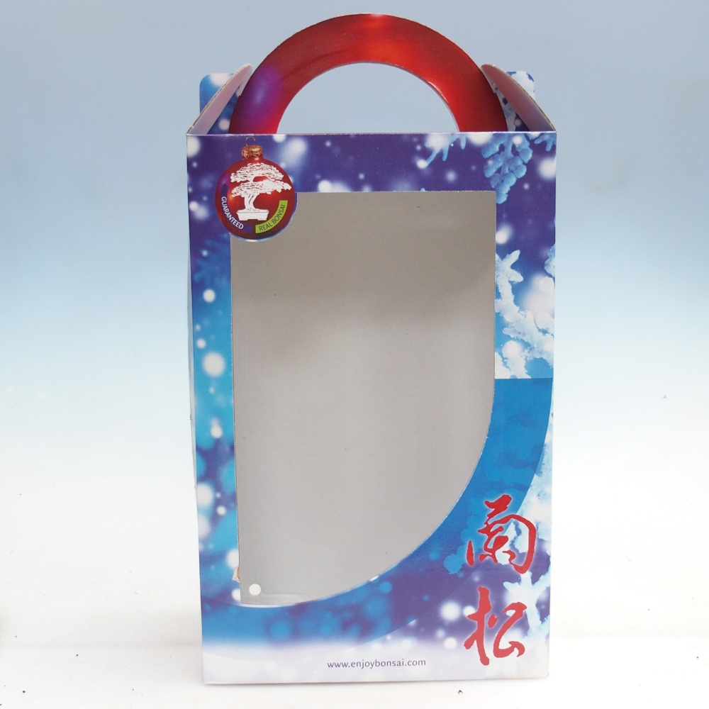 Papierowe pudełko na bonsai na prezent