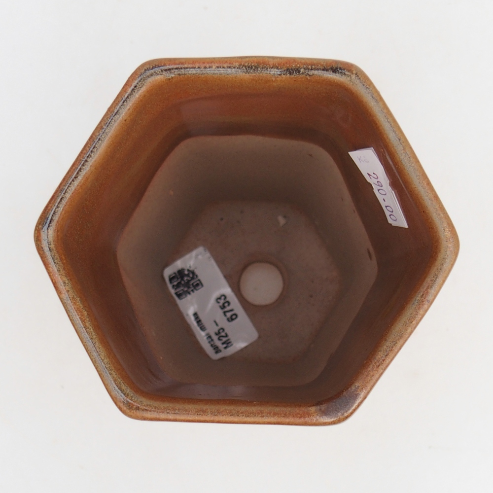 Ceramiczna miska do bonsai 10 x 8,5 x 14,5 cm, brązowa