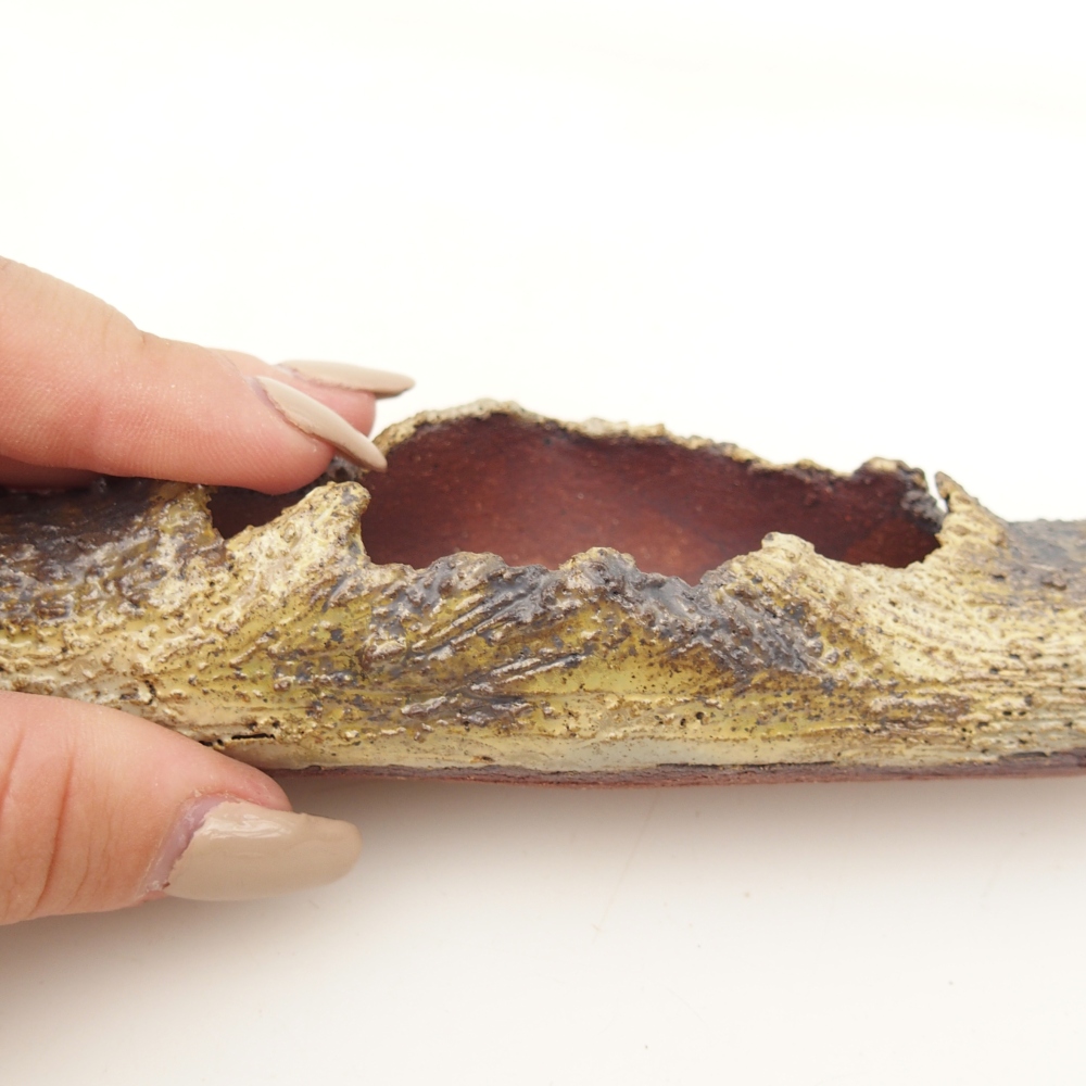 Ceramiczna skorupa 15 x 4,5 x 3 cm, żółta