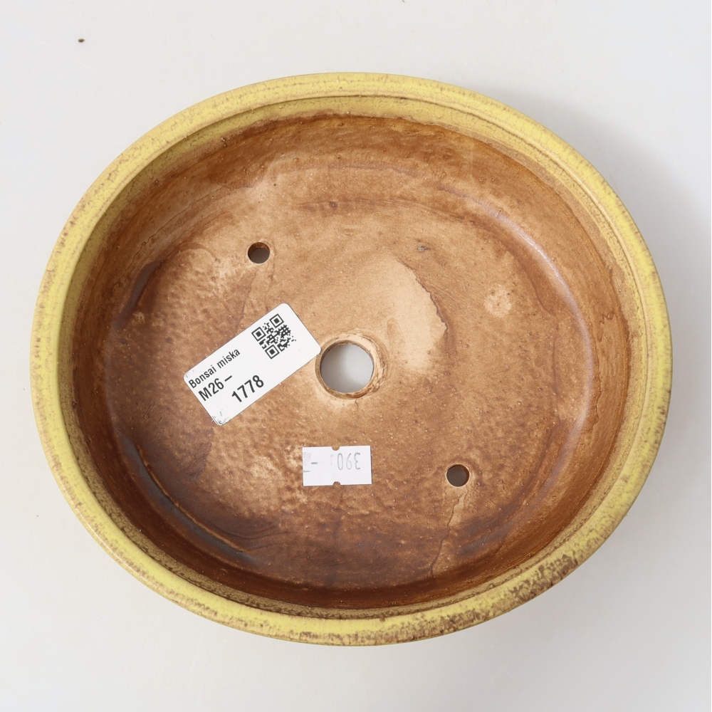 Ceramiczna miska do bonsai 18 x 16,5 x 4,5 cm, kolor żółty