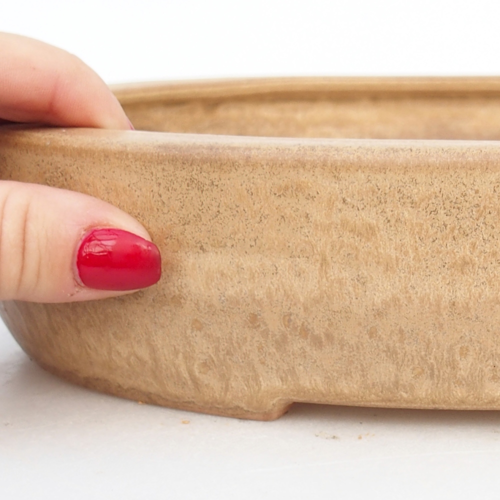 Ceramiczna miska bonsai 27 x 21 x 5 cm, kolor beżowy