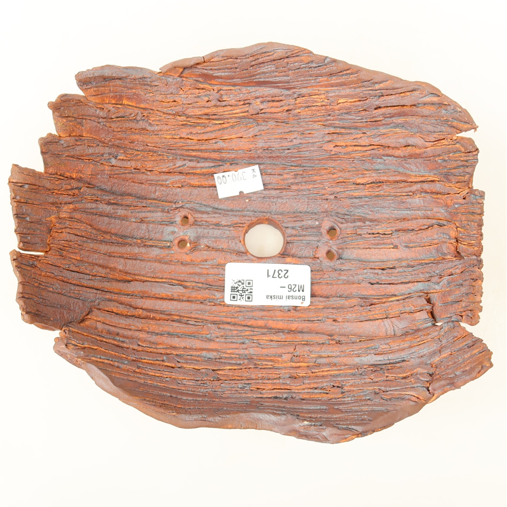Ceramiczna skorupa  20 x 17 x 7,5 cm, kolor brązowy