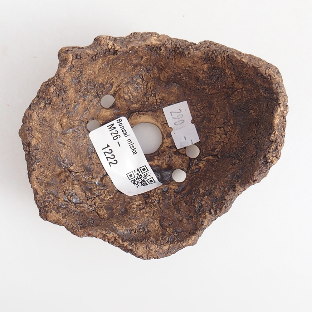 Ceramiczna muszla 9 x 8 x 7 cm, kolor brązowy