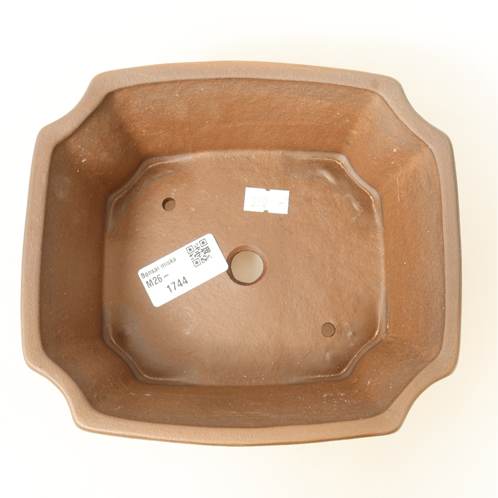 Ceramiczna miska do bonsai 18 x 15 x 6 cm, kolor brązowy