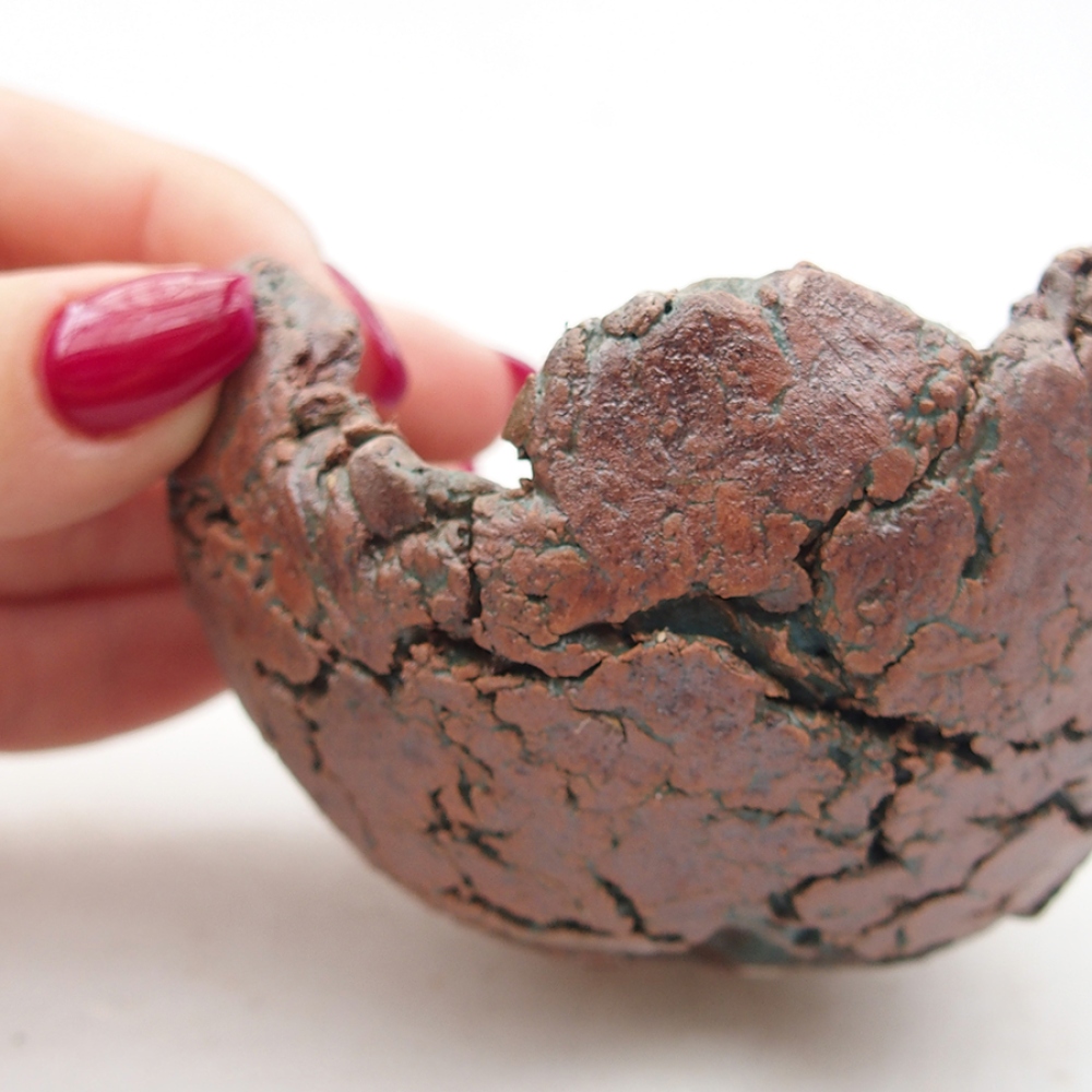Muszla ceramiczna 9 x 9 x 5 cm, kolor zielony