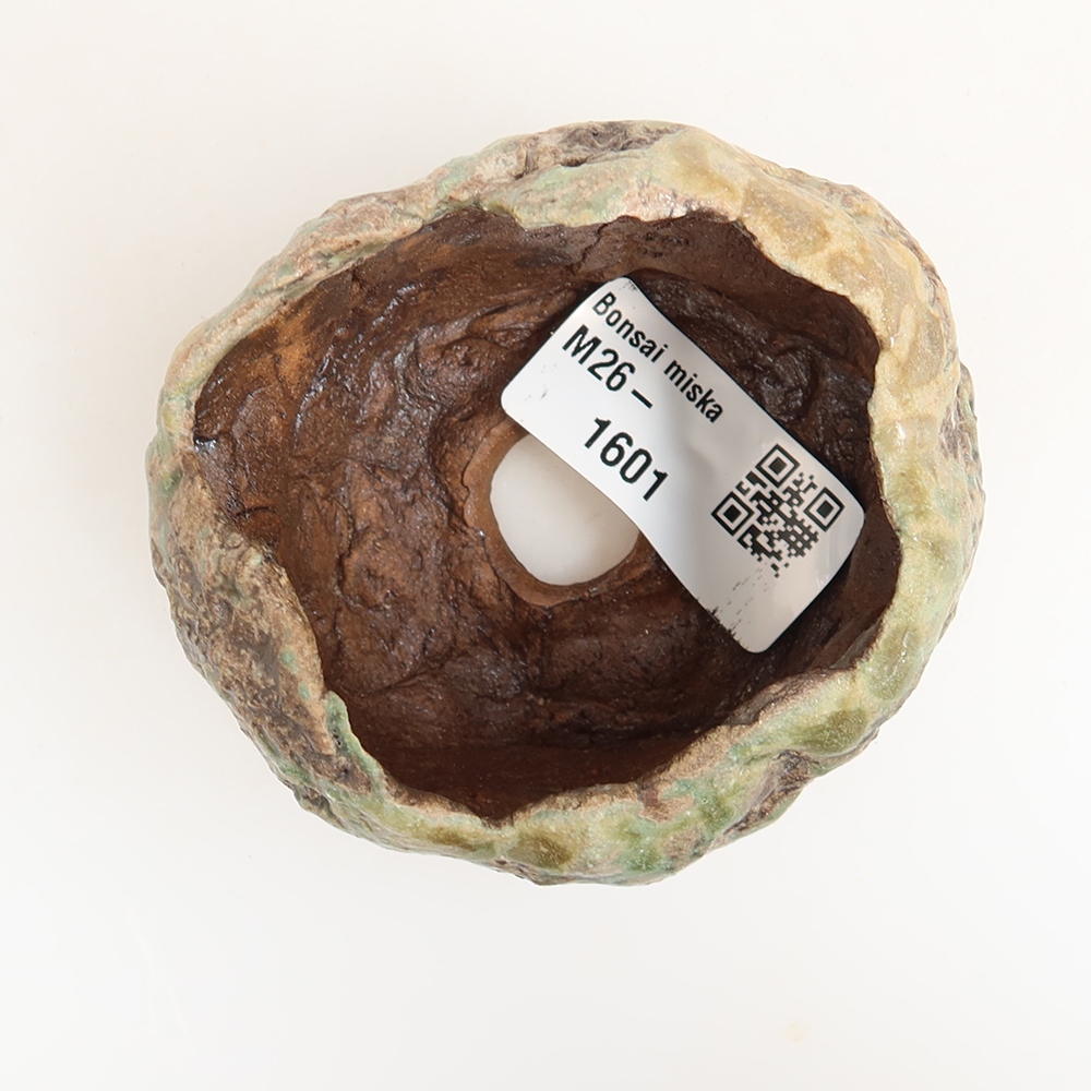 Ceramiczna skorupka  6 x 5,5 x 5 cm, kolor zielony