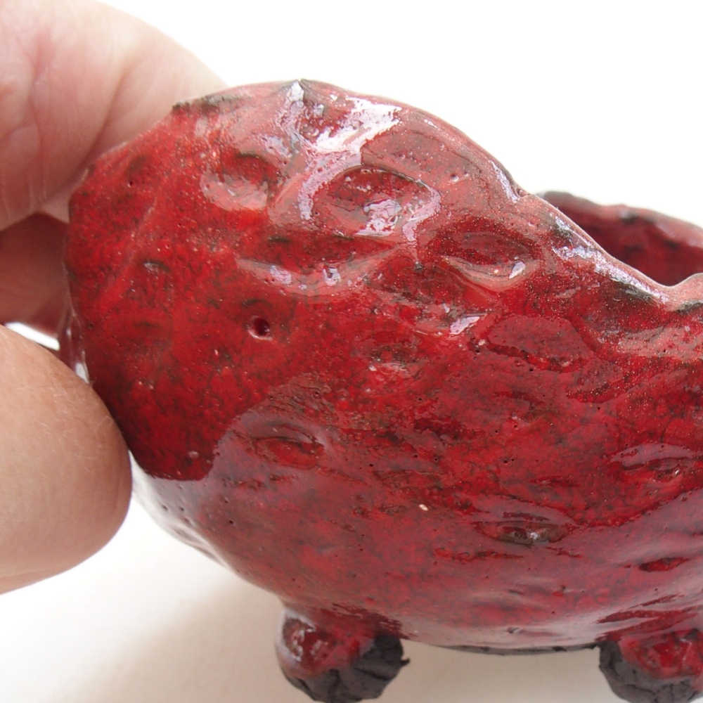 Muszla ceramiczna 8,5 x 8 x 6 cm, kolor czerwony