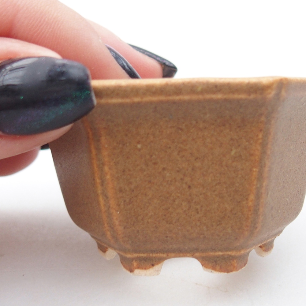 Mini miska do bonsai 5,5 x 5 x 3 cm, brązowa