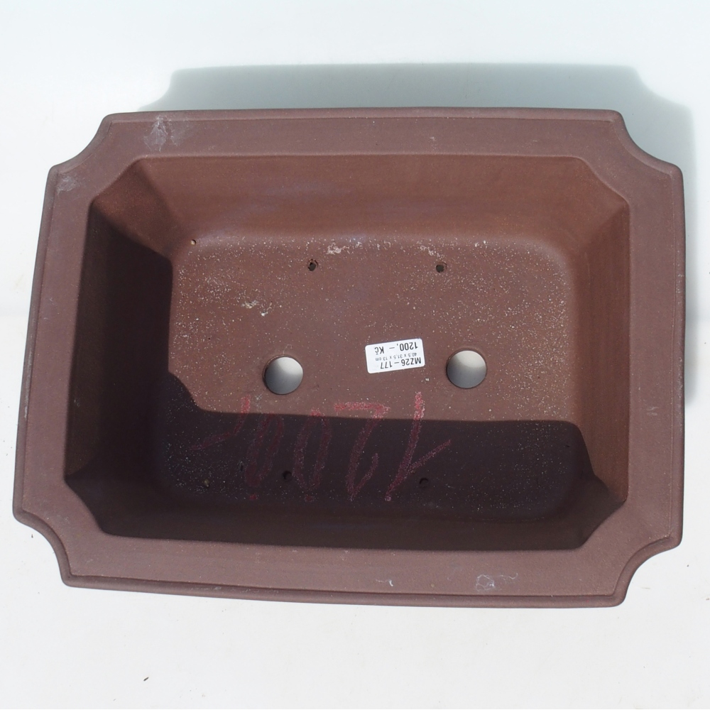 Misa bonsai 40,5 x 31,5 x 13 cm brzoza brązowa