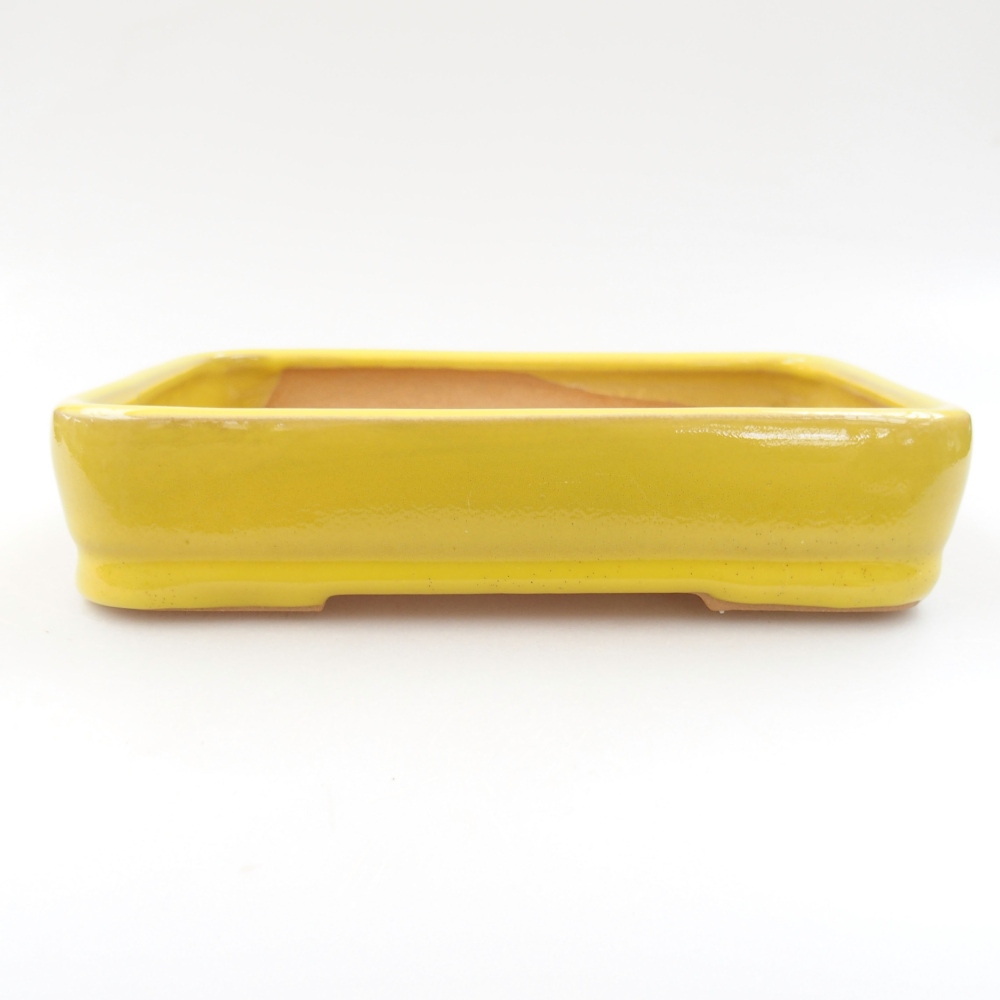 Ceramiczna miska bonsai 18 x 13 x 4 cm, kolor Żółty