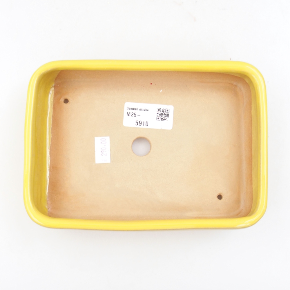 Ceramiczna miska bonsai 18 x 13 x 4 cm, kolor Żółty