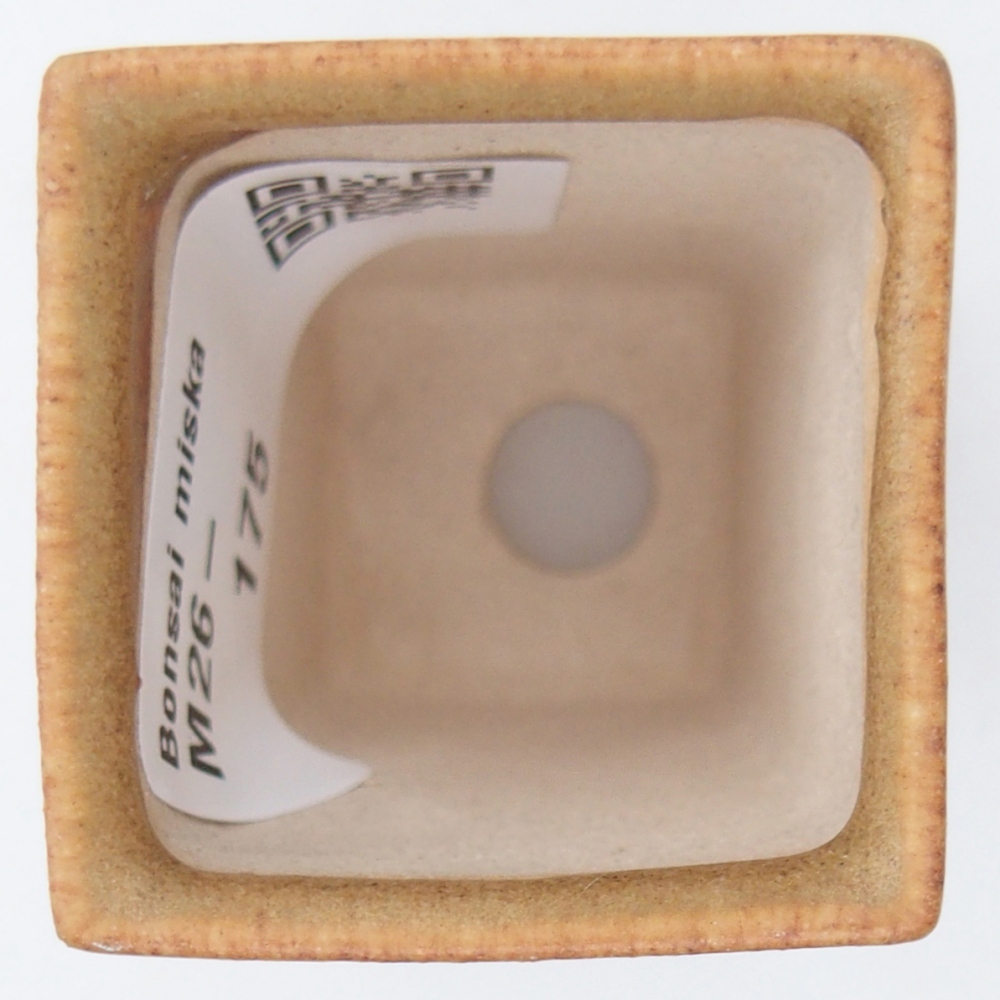 Mini miska do bonsai 3,5 x 3,5 x 5 cm, brązowa