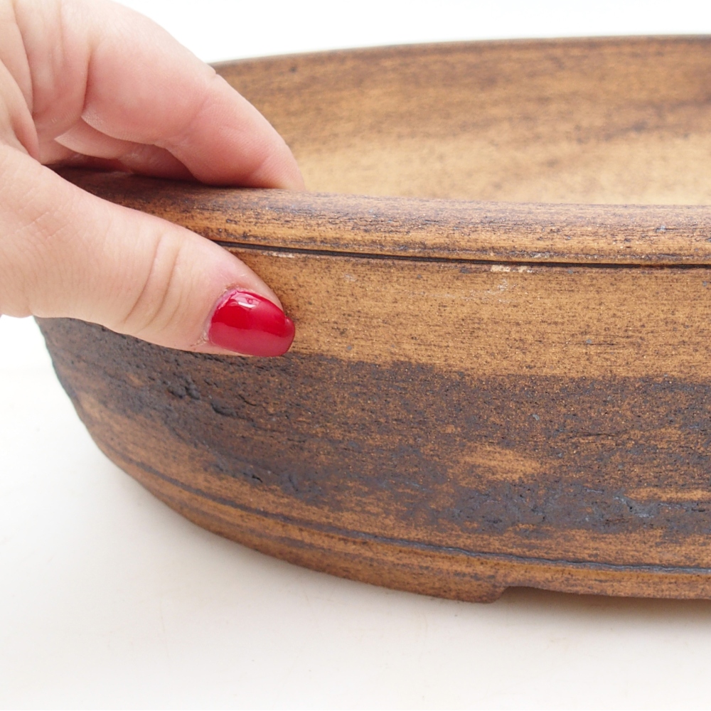 Misa bonsai 39 x 31 x 8,5 cm, kolor brązowy