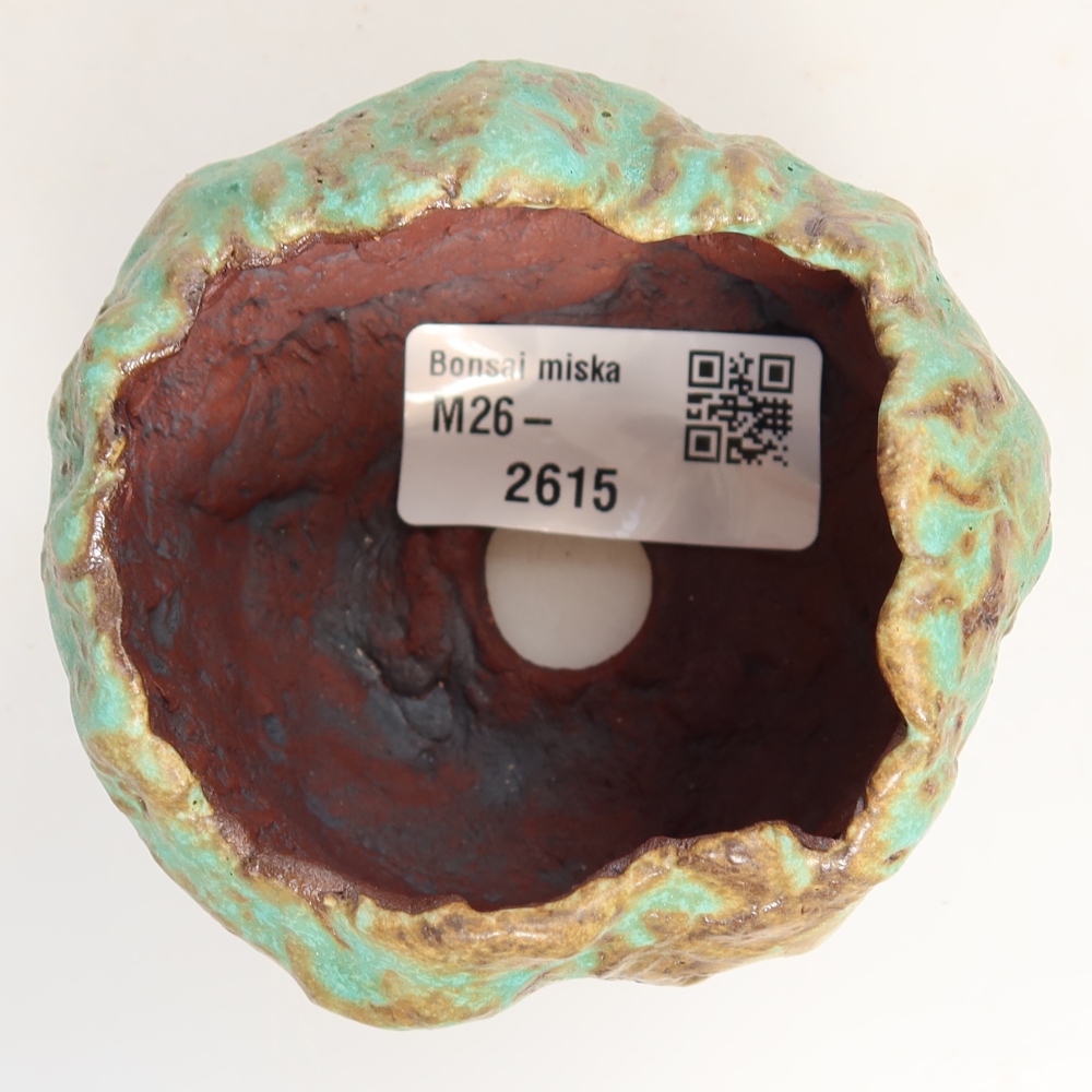 Ceramiczna skorupka  7 x 7 x 6 cm, kolor zielony