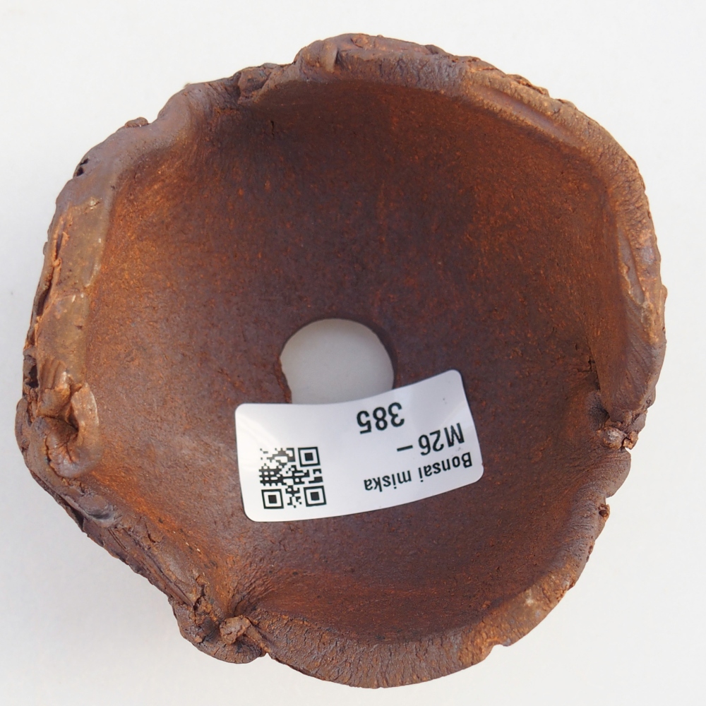 Ceramiczna muszla 8,5 x 8,5 x 6,5 cm, kolor brązowy