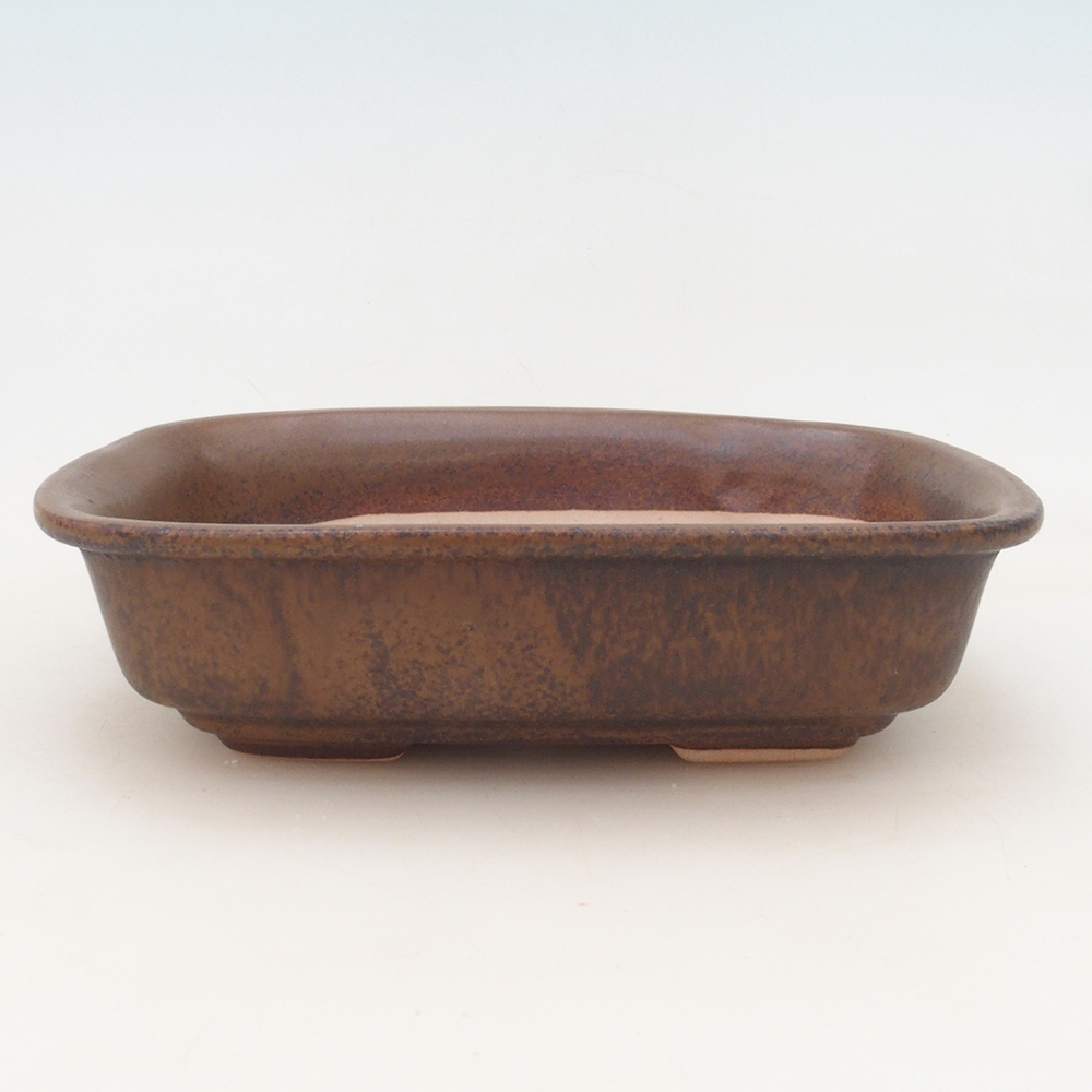 Bonsai bowl H02 - 19 x 13 x 5 cm. - brązowy