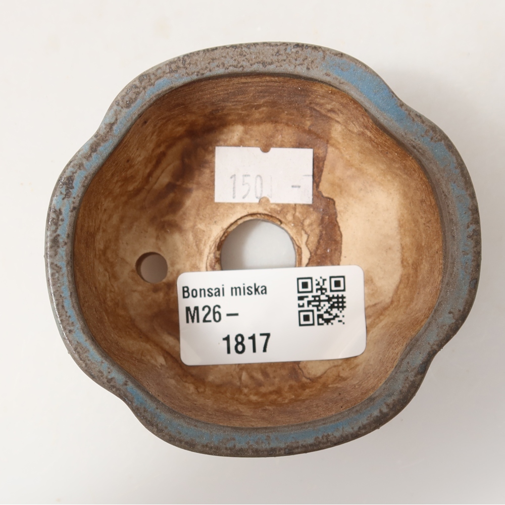Ceramiczna miseczka do bonsai 8 x 7,5 x 3,5 cm, kolor niebieski
