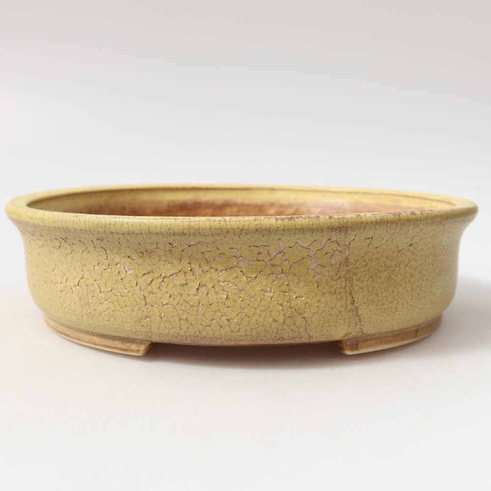 Ceramiczna miska do bonsai 18 x 16,5 x 4,5 cm, kolor żółty