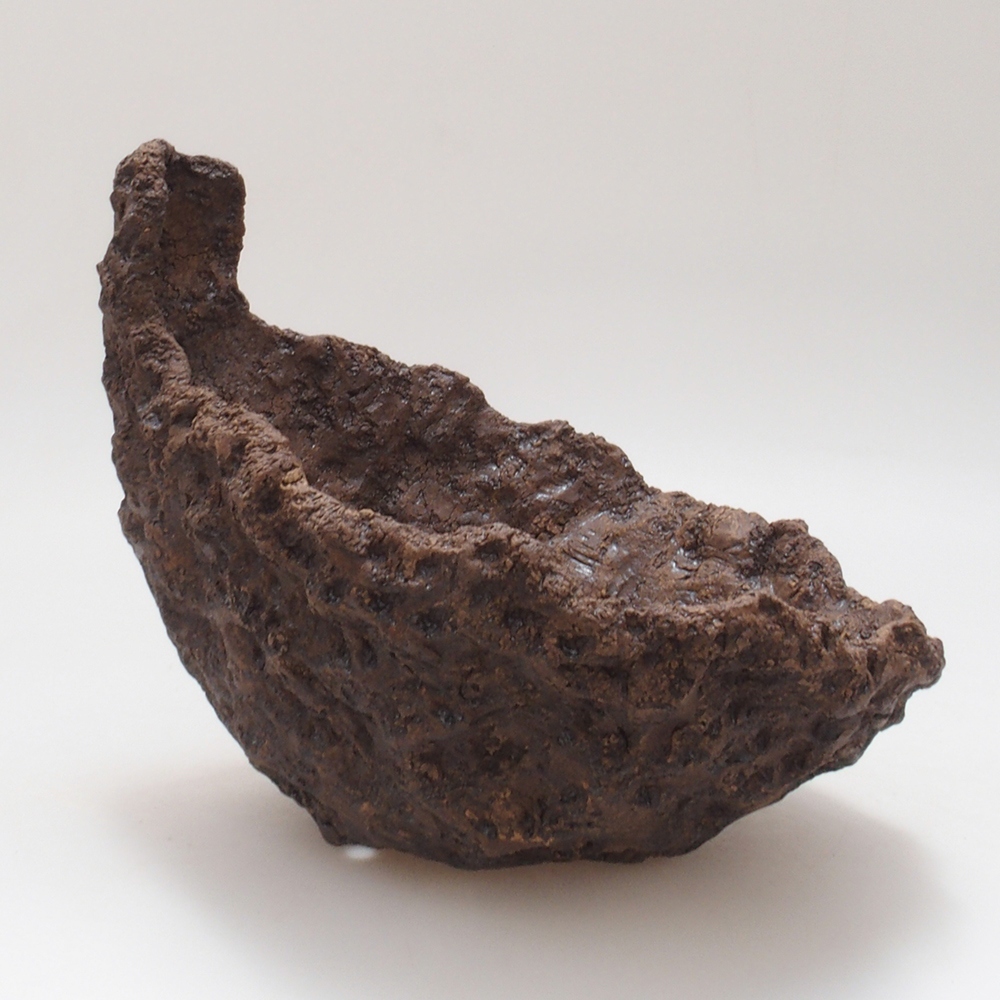 Muszla ceramiczna 17,5 x 16 x 17,5 cm, kolor brązowy