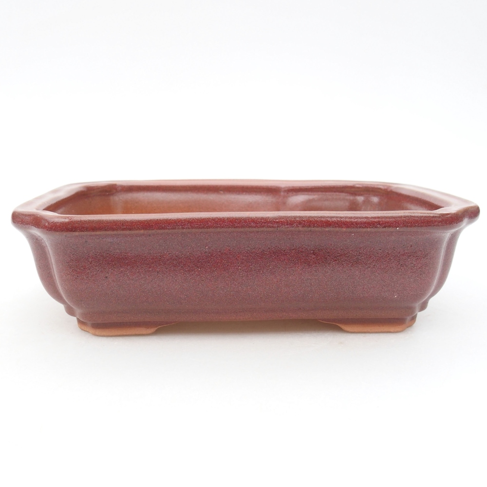 Ceramiczna miska bonsai 18 x 13,5 x 5 cm, kolor bordowy