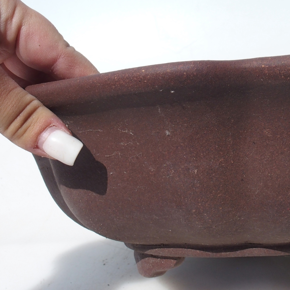 Misa bonsai 28 x 28 x 9,5 cm brzoza brązowa