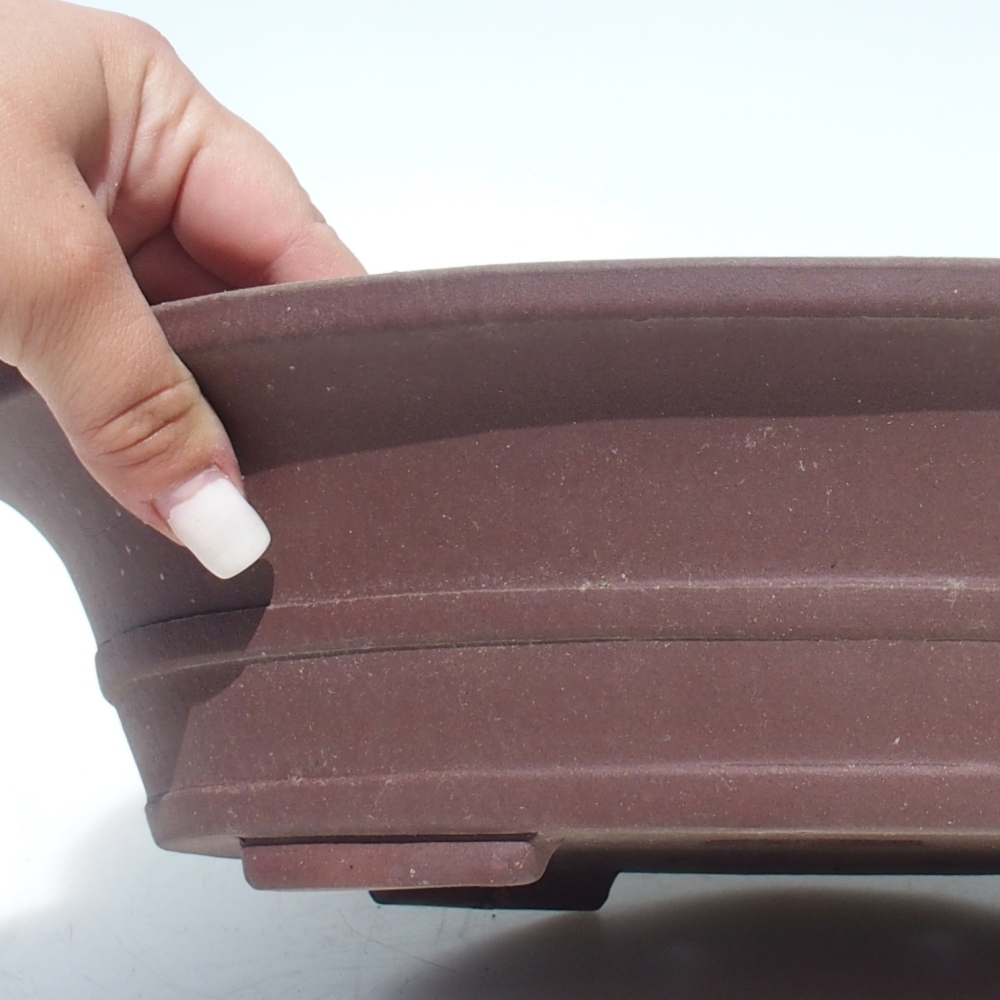 Misa bonsai 33 x 27 x 8,5 cm brzoza brązowa