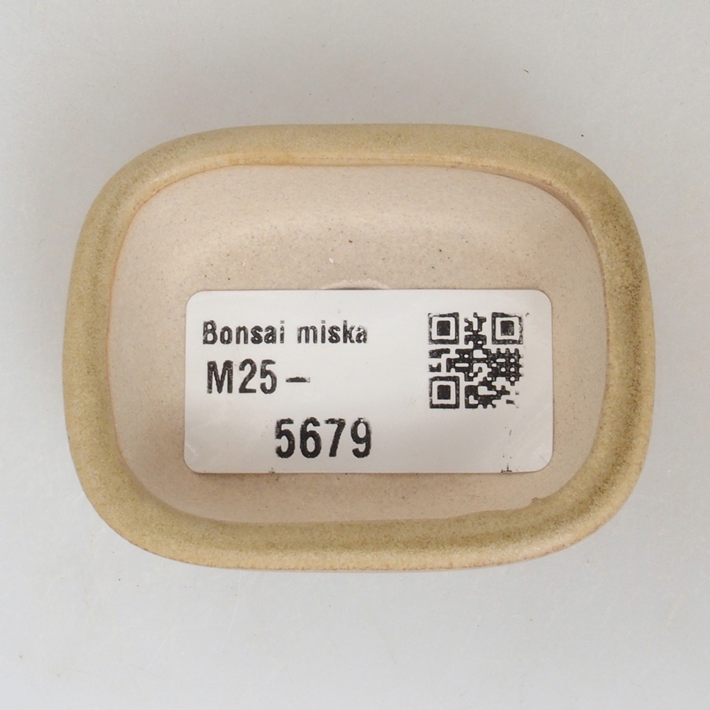 Mini miska bonsai 5,5 x 4 x 2 cm, kolor brązowy