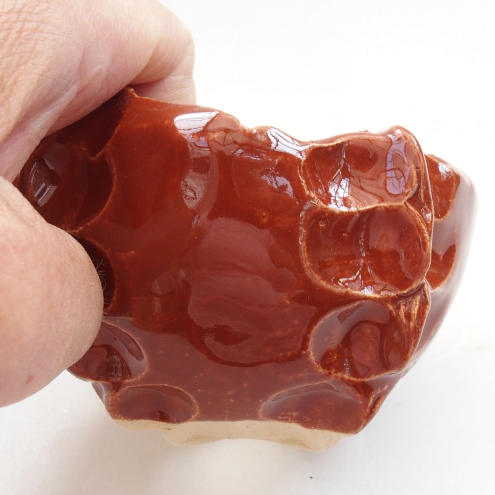 Muszla ceramiczna 7 x 7 x 6,5 cm, kolor brązowy