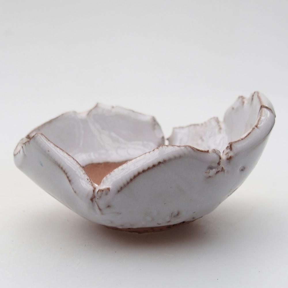 Muszla ceramiczna 9 x 8 x 5 cm, kolor biały