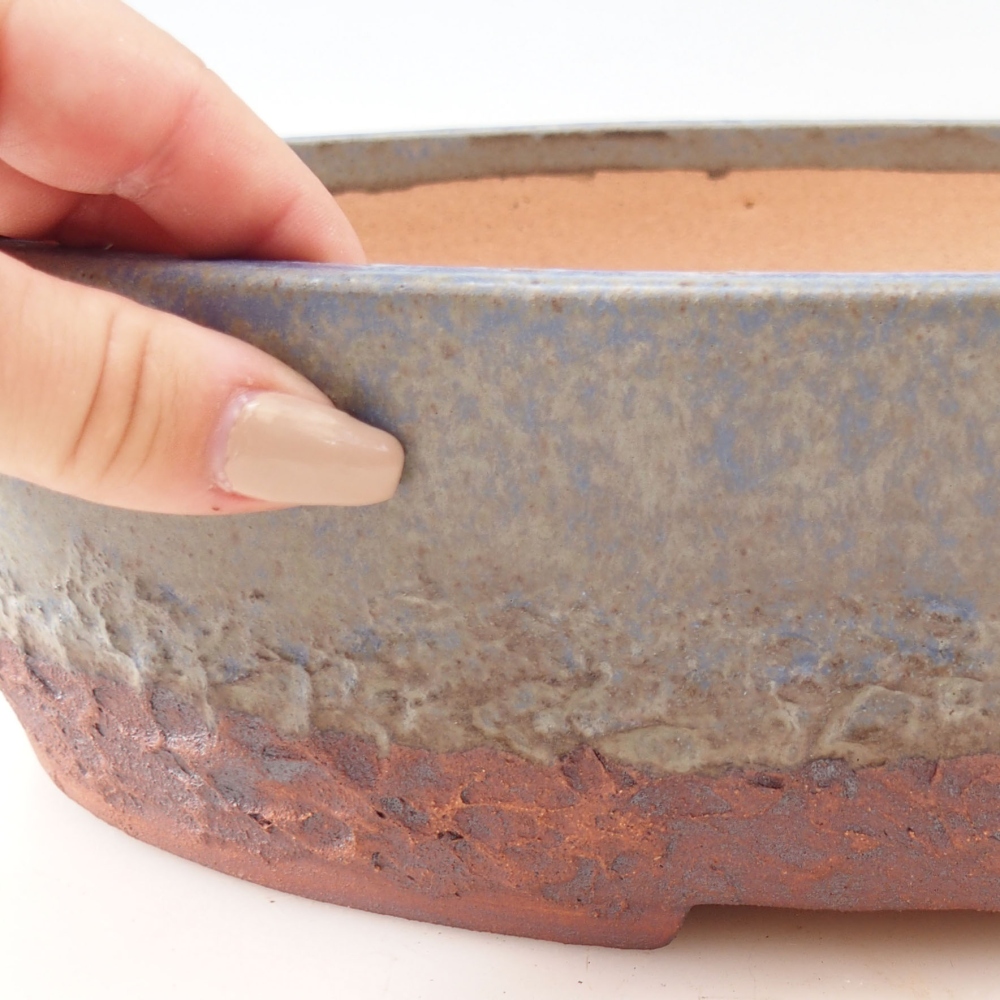 Misa do bonsai 32,5 x 25,5 x 8,5 cm, kolor niebieski
