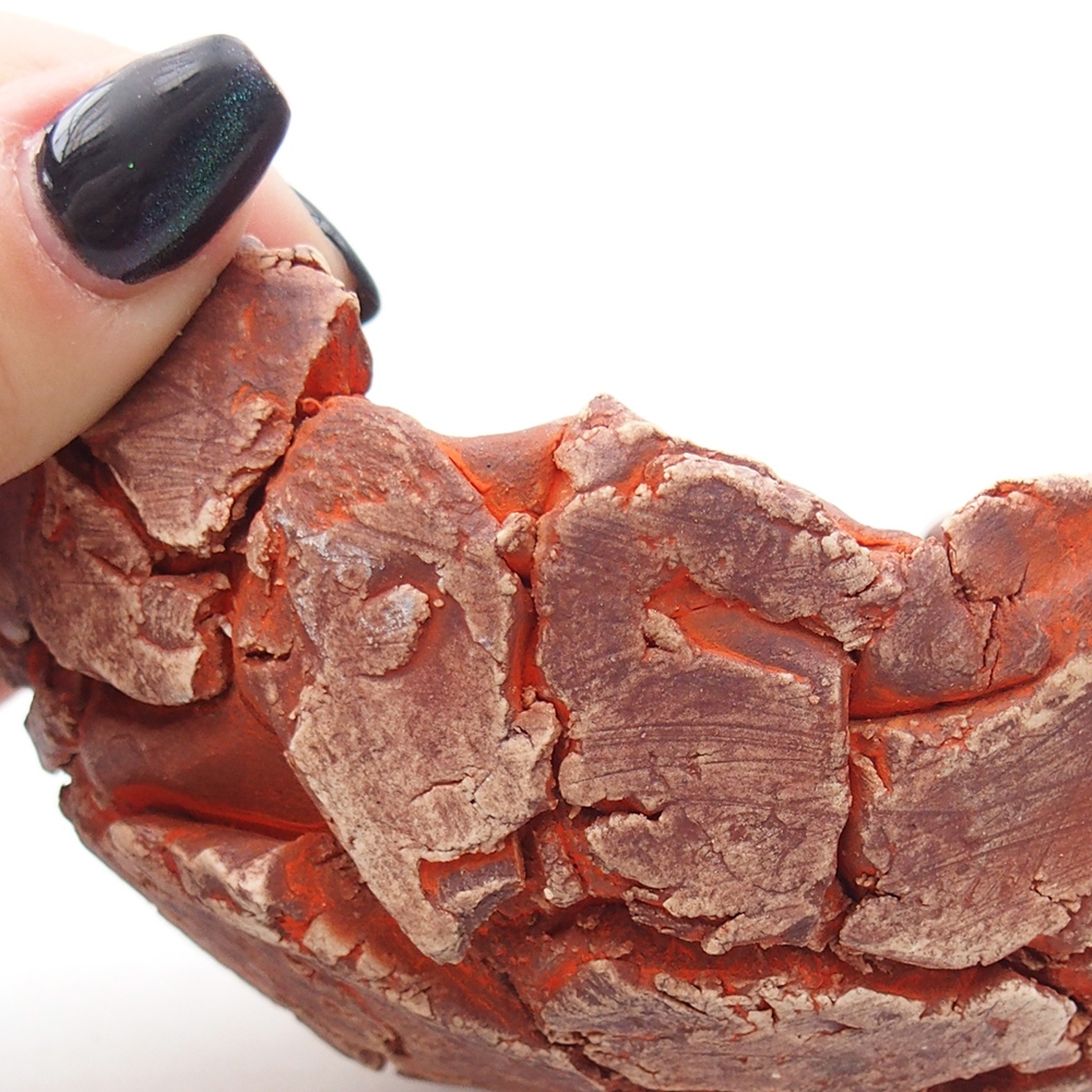 Ceramiczna muszla 11,5 x 10,5 x 6 cm, kolor pomarańczowy