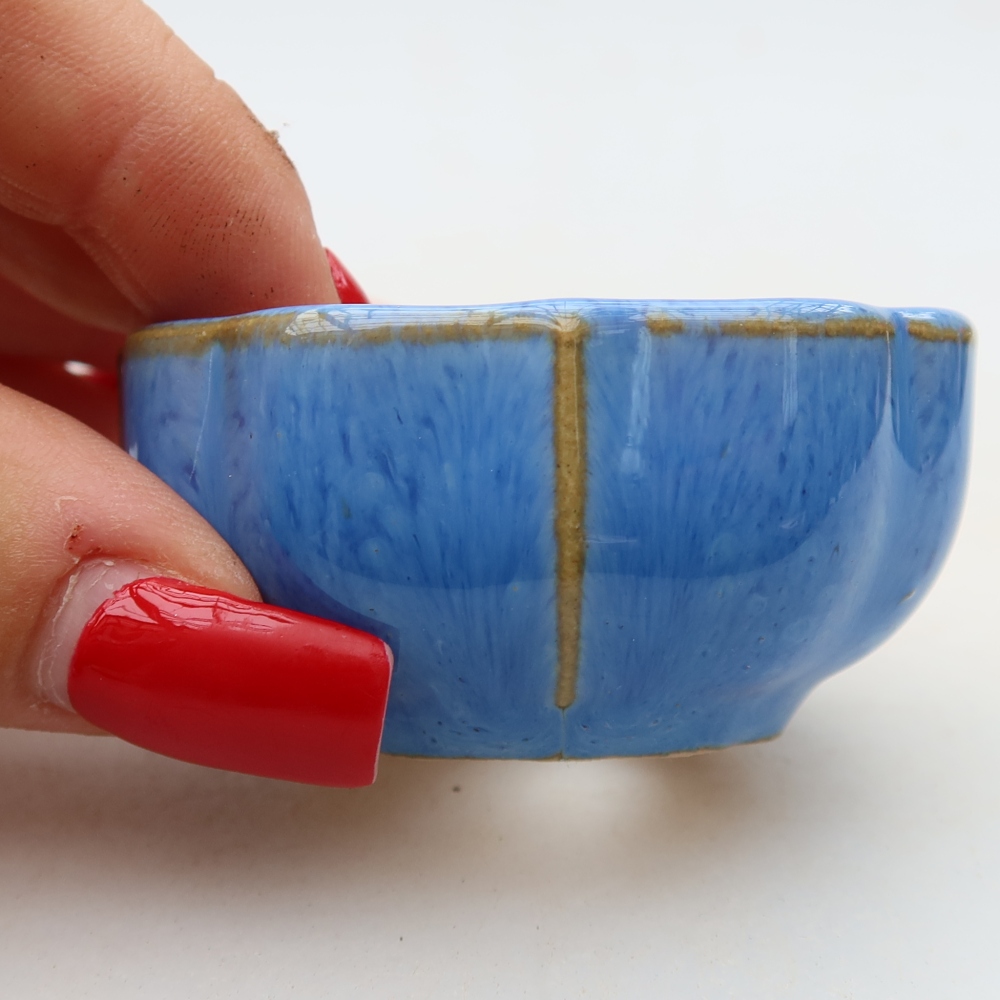 Ceramiczna miseczka do bonsai 6 x 6 x 3 cm, kolor niebieski