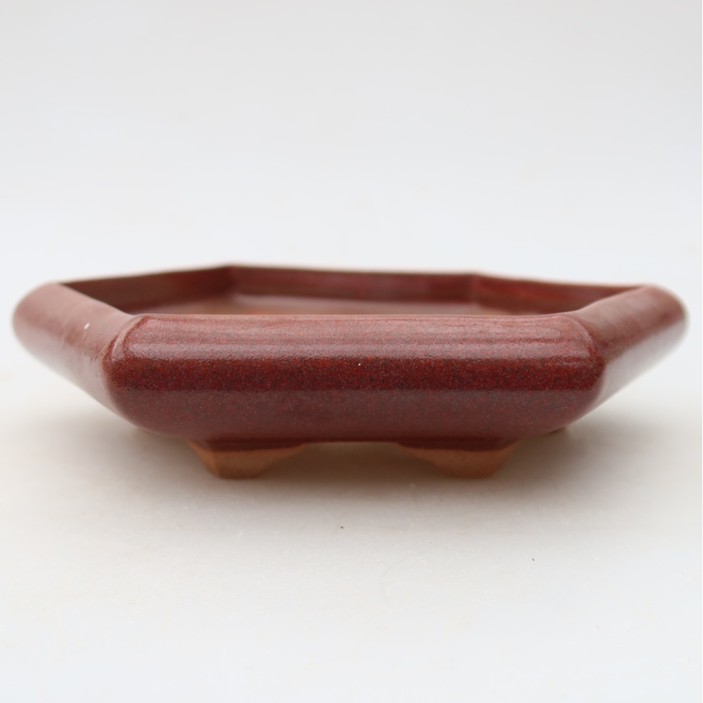 Ceramiczna miska do bonsai 17 x 15 x 4 cm, kolor bordowy