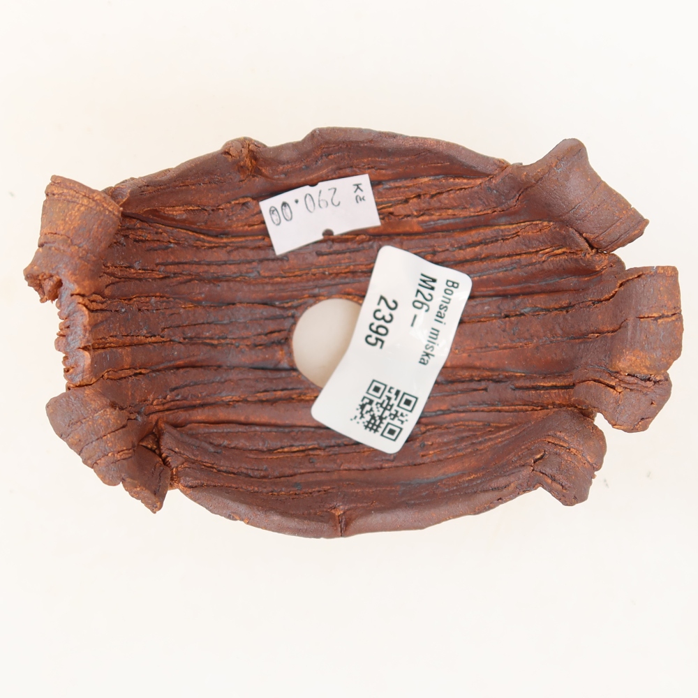 Ceramiczna skorupa  10 x 7,5 x 7 cm, kolor brązowy