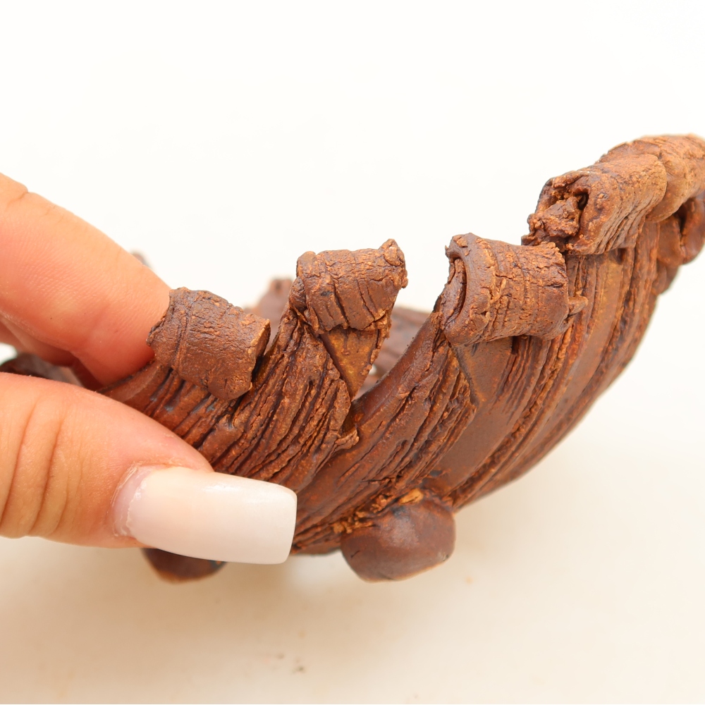 Ceramiczna skorupa  12 x 8,5 x 5,5 cm, kolor brązowy